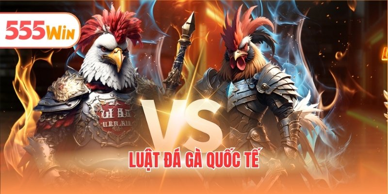 Luật đá gà quốc tế